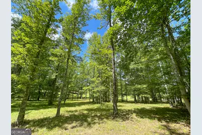 305 West Drive, Roopville, GA 30170 - Photo 67