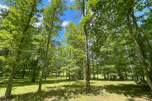 305 West Dr, Roopville, GA 30170 - Photo 67