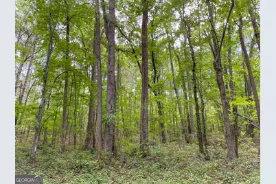 305 West Drive, Roopville, GA 30170 - Photo 9