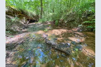 305 West Drive, Roopville, GA 30170 - Photo 11