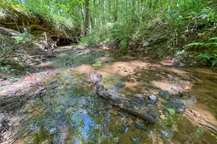 305 West Dr, Roopville, GA 30170 - Photo 11