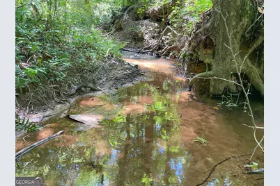 305 West Drive, Roopville, GA 30170 - Photo 63