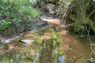 305 West Dr, Roopville, GA 30170 - Photo 63