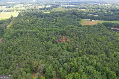 305 West Drive, Roopville, GA 30170 - Photo 61