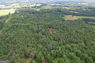 305 West Dr, Roopville, GA 30170 - Photo 61