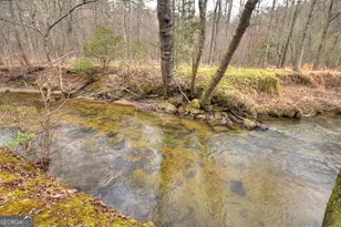 1175 Lickskillet Cir, Epworth, GA 30541 - Photo 25