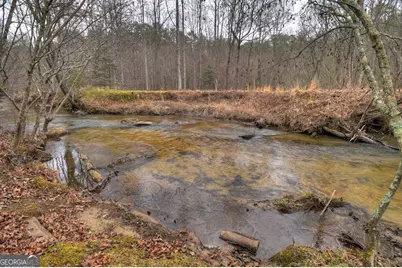 1175 Lickskillet Circle, Epworth, GA 30541 - Photo 27