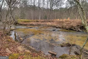 1175 Lickskillet Cir, Epworth, GA 30541 - Photo 27