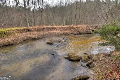 1175 Lickskillet Circle, Epworth, GA 30541 - Photo 3