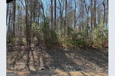 0 New Hutchinson Mill Road, Lagrange, GA 30240 - Photo 3