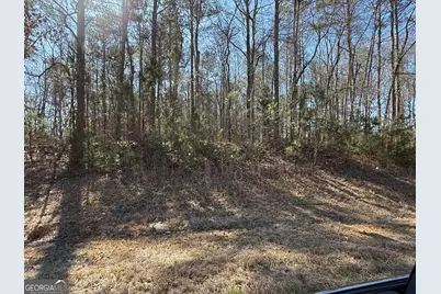 0 New Hutchinson Mill Road, Lagrange, GA 30240 - Photo 1