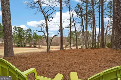 1050 Curtright Place, Greensboro, GA 30642 - Photo 69