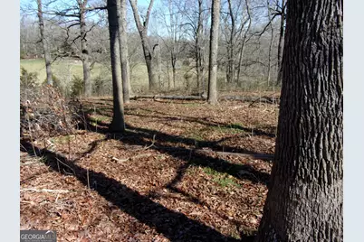 6615 Hwy 174, Danielsville, GA 30633 - Photo 5