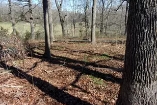 6615 Hwy 174, Danielsville, GA 30633 - Photo 5