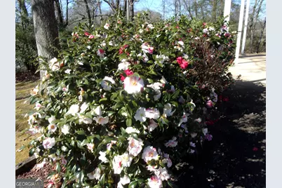 6615 Hwy 174, Danielsville, GA 30633 - Photo 9