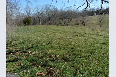 6615 Hwy 174, Danielsville, GA 30633 - Photo 5