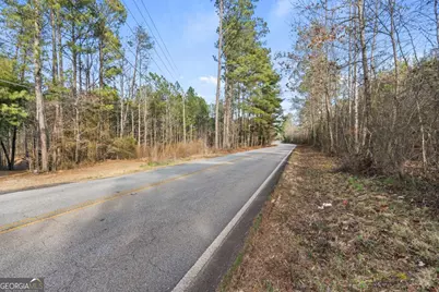 0 Chestnut Road, Covington, GA 30016 - Photo 3