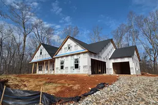 161 Rachel, Dallas, GA 30157 - Photo 3