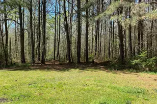 63 W Mandeville Rd, Carrollton, GA 30117 - Photo 5