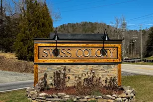 213 Matterhorn Dr, Sautee Nacoochee, GA 30571 - Photo 43