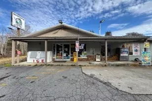 1825 Streak Hill Rd, Hiawassee, GA 30546 - Photo 1