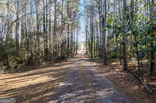 618 Welcome To Arnco Rd, Newnan, GA 30263 - Photo 37