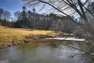 116 Davis Ln, Ellijay, GA 30540 - Photo 43