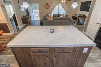 4985 Hwy 169, Glennville, GA 30427 - Photo 11