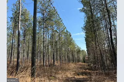 001 Allen Road, Musella, GA 31066 - Photo 5