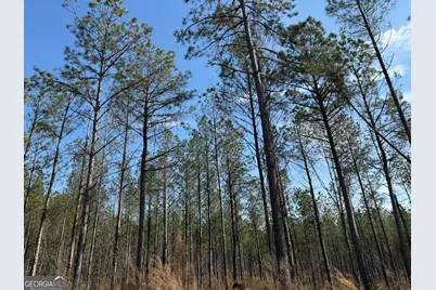 001 Allen Road, Musella, GA 31066 - Photo 1