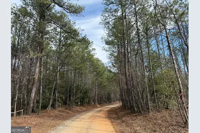 001 Allen Road, Musella, GA 31066 - Photo 9