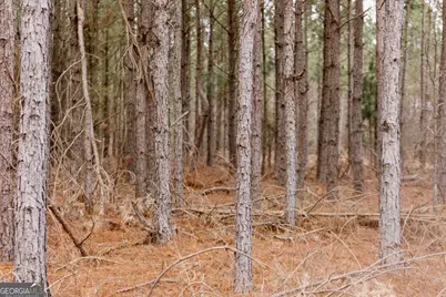 0 Bunn Store Road #TRACT 1, Midville, GA 30441 - Photo 5