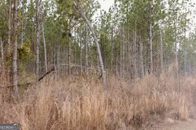 0 Bunn Store Road #TRACT 1, Midville, GA 30441 - Photo 13