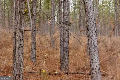 0 Bunn Store Road #TRACT 1, Midville, GA 30441 - Photo 15