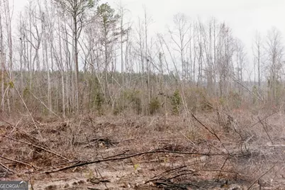 0 Bunn Store Road #TRACT 1, Midville, GA 30441 - Photo 9