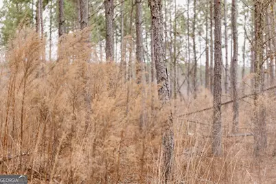 0 Bunn Store Road #TRACT 1, Midville, GA 30441 - Photo 3