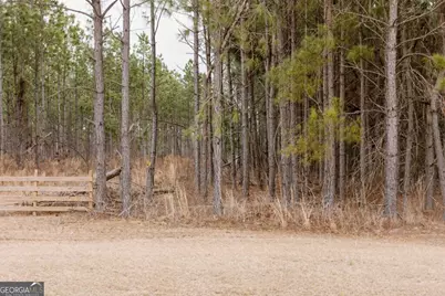 0 Bunn Store Road #TRACT 1, Midville, GA 30441 - Photo 7