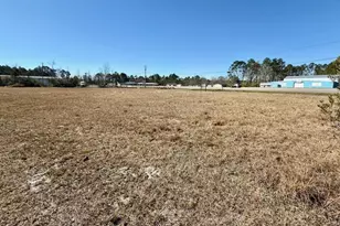 0 Hatch Pkwy N, Baxley, GA 31513 - Photo 1