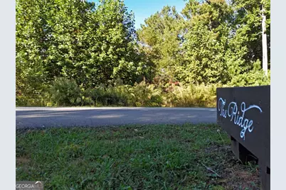 Lot55 Thirteen Hundred, Blairsville, GA 30512 - Photo 7