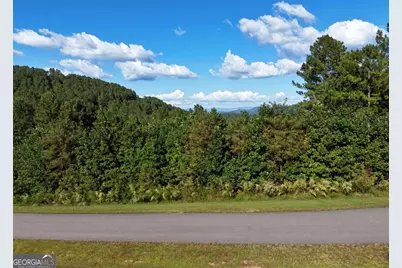 Lot55 Thirteen Hundred, Blairsville, GA 30512 - Photo 3