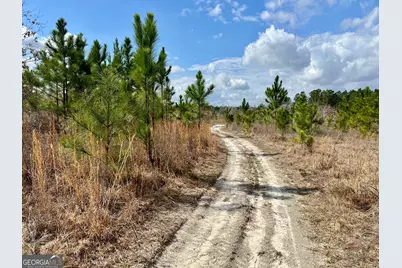 0 Cochran Hwy, Eastman, GA 31023 - Photo 9