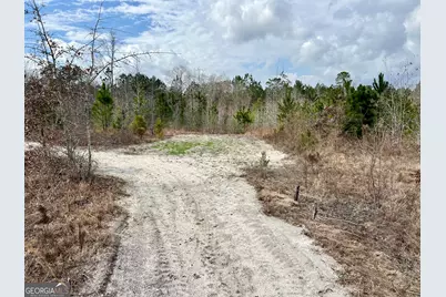 0 Cochran Hwy, Eastman, GA 31023 - Photo 11
