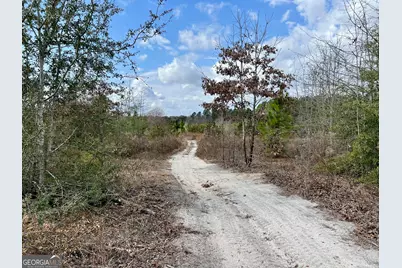0 Cochran Hwy, Eastman, GA 31023 - Photo 7