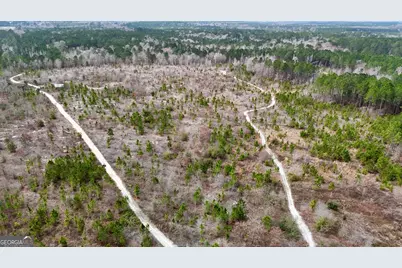 0 Cochran Hwy, Eastman, GA 31023 - Photo 21