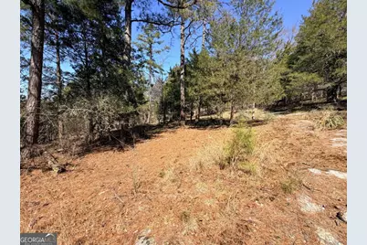 4012 Paulette Drive, Monroe, GA 30656 - Photo 13