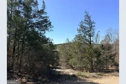 4012 Paulette Drive, Monroe, GA 30656 - Photo 17