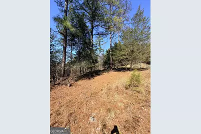 4012 Paulette Drive, Monroe, GA 30656 - Photo 15