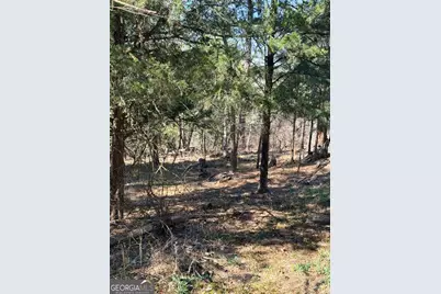 4012 Paulette Drive, Monroe, GA 30656 - Photo 9