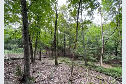 809 1/2 Probasco Street N #LOT 1 &amp; 2: 31.93 AC, La Fayette, GA 30728 - Photo 13