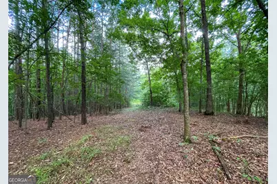 809 1/2 Probasco Street N #LOT 1 &amp; 2: 31.93 AC, La Fayette, GA 30728 - Photo 9